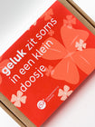 Studiofoto geluksklavers doos; geluk zit soms in een klein doosje
