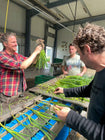 Bosui aan het proper maken