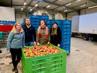 Verzamelde appels door carglass colleg's