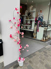 Winkel versierd met sakura bloemen