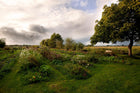 Voedselpark Hasselt